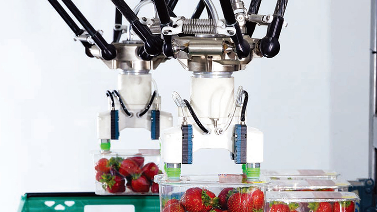 星空(中国)一站式服务官网星空平台助力果盒包装实现更高的生产效率和成本效益