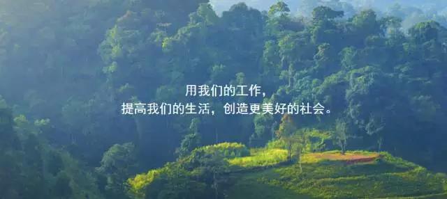 1505806575380433.jpg 207091903.jpg