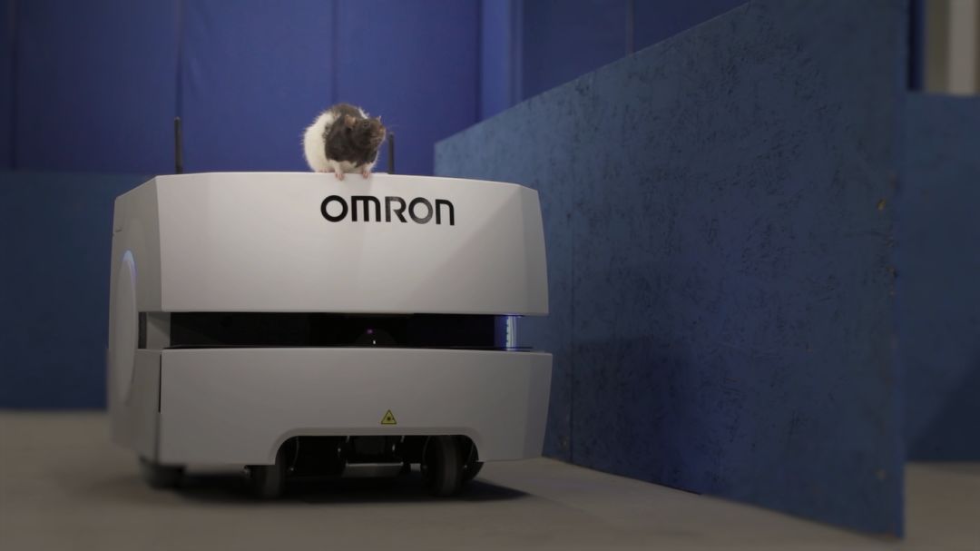 1555924627444267.jpg 1555924627444267.jpg