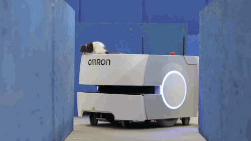 1555924728180661.gif image005.gif