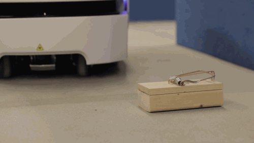 1555924792409702.gif image006.gif