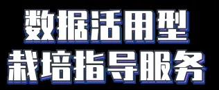 1566459239323173.jpg image011.jpg