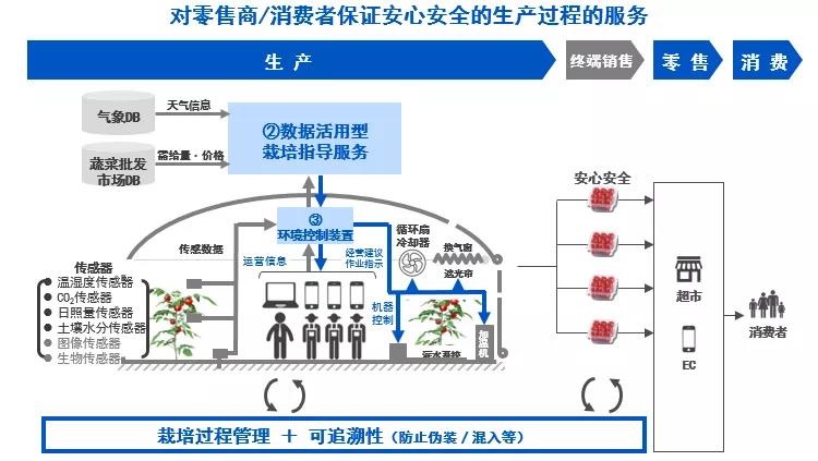 1571384386535552.jpg 3.jpg