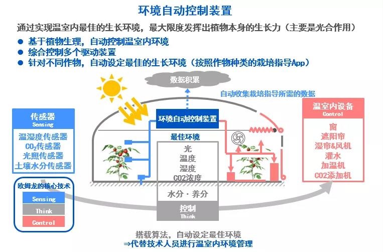 1571384404629212.jpg 5.jpg