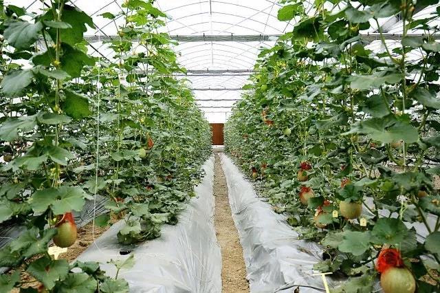 1571640215625191.jpg 1571640215625191.jpg