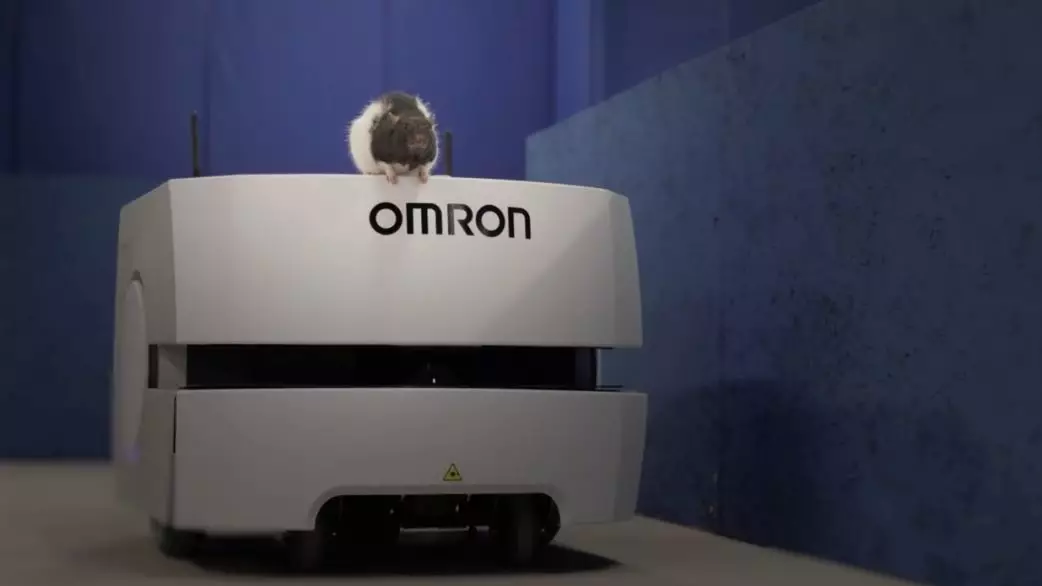 1572253019625649.png 1572253019625649.png