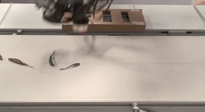 1573524465311097.gif 1573524465311097.gif