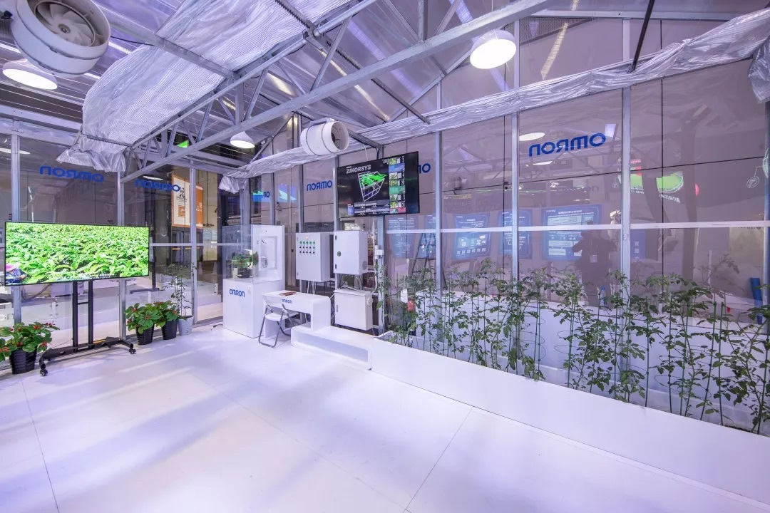 1573535132429642.jpg 1573535132429642.jpg