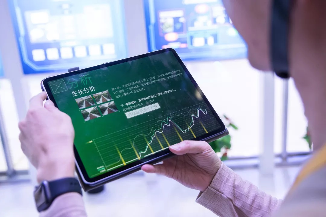 1573535947525758.jpg 1573535947525758.jpg