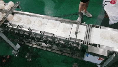 1586488439190986.gif 5.gif