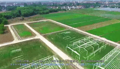 1573535524466666.jpg 1573535524466666.jpg