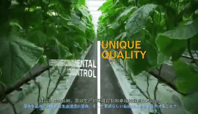 1573535524466666.jpg 1573535524466666.jpg