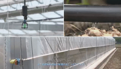 1573535524466666.jpg 1573535524466666.jpg